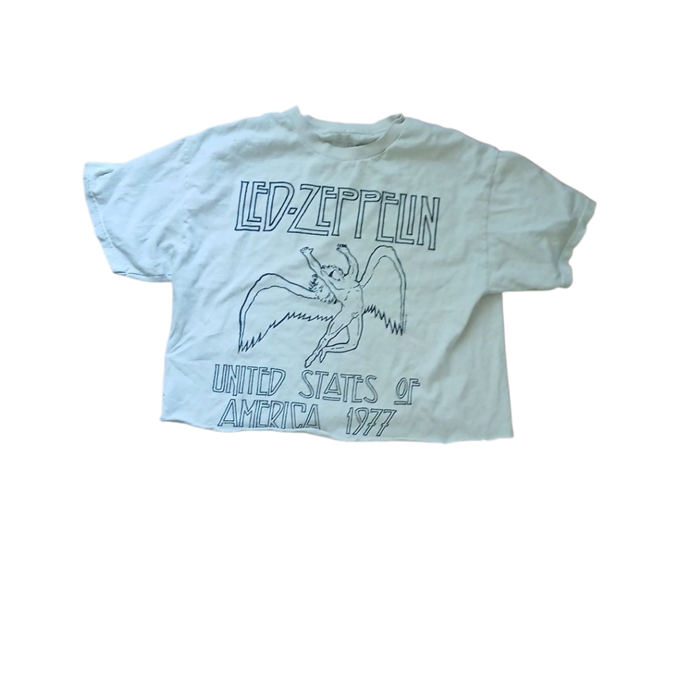 💟Led Zepellin Tee